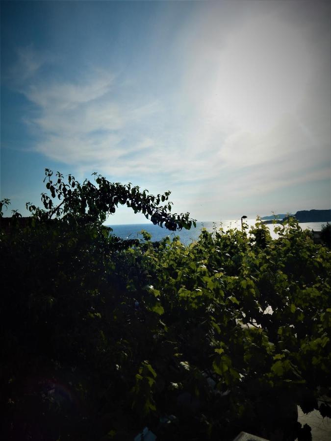 Vila Teodora Sveti Stefan Eksteriør billede